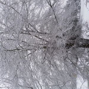 Meet your Posher, Doris